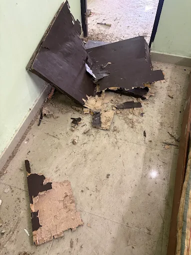 Close-up view of termite damage in wooden furniture
